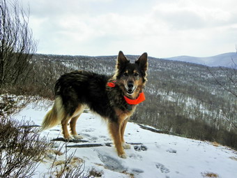 picture taken during a hike