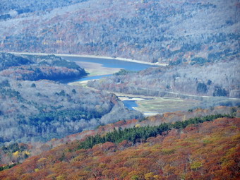 picture taken during a hike