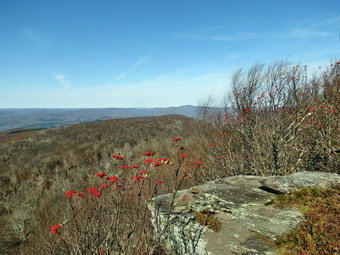 picture taken during a hike