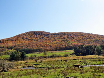 picture taken during a hike