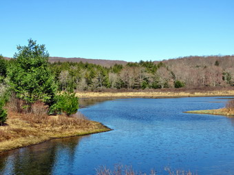 picture taken during a hike