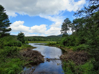 picture taken during a hike