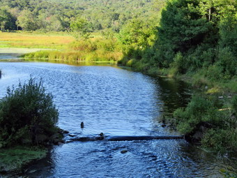 picture taken during a hike