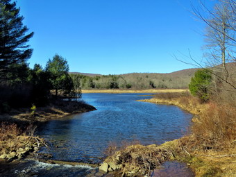 picture taken during a hike