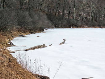 picture taken during a hike