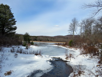 picture taken during a hike