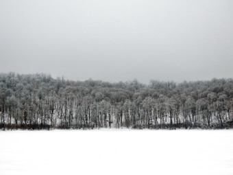 picture taken during a hike