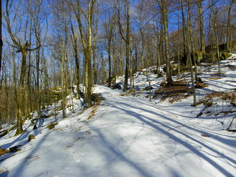 picture taken during a hike