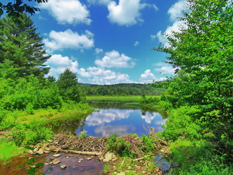 picture taken during a hike