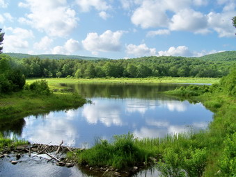 picture taken during a hike