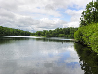 picture taken during a hike