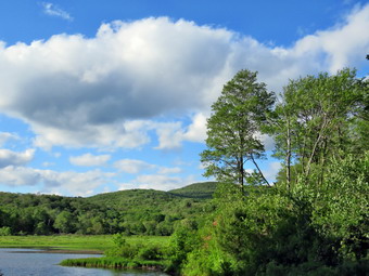 picture taken during a hike