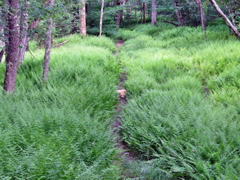 picture taken during a hike