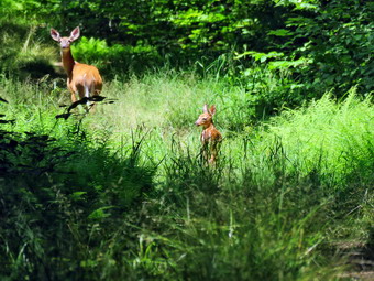 picture taken during a hike