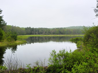 picture taken during a hike