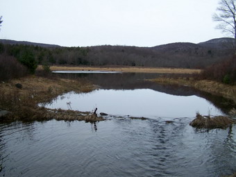 picture taken during a hike