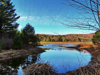 picture taken during a hike