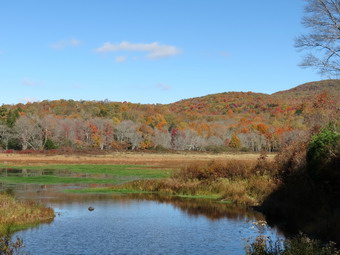 picture taken during a hike