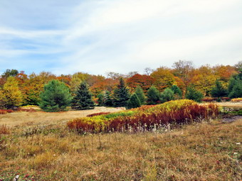 picture taken during a hike