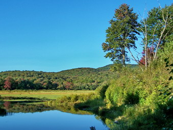 picture taken during a hike