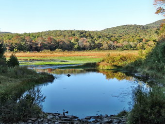 picture taken during a hike