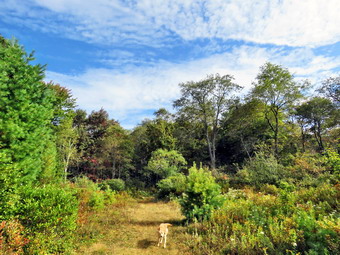 picture taken during a hike