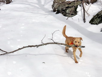 picture taken during a hike