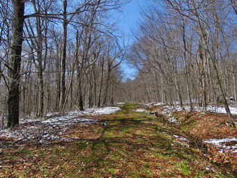 picture taken during a hike