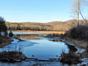 picture taken during a hike