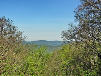 picture taken during a hike