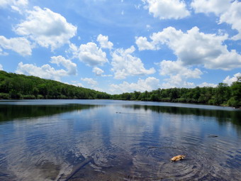 picture taken during a hike