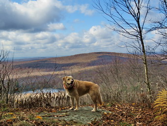 picture taken during a hike