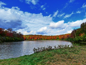 picture taken during a hike