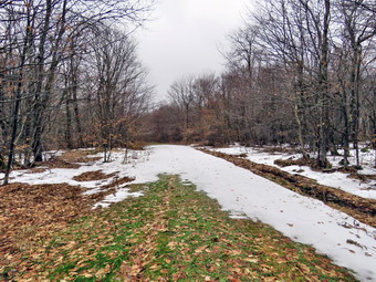 picture taken during a hike