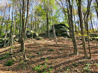 picture taken during a hike