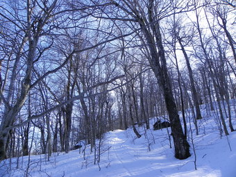 picture taken during a hike