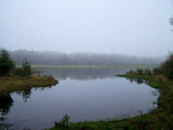 picture taken during a hike