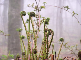 picture taken during a hike