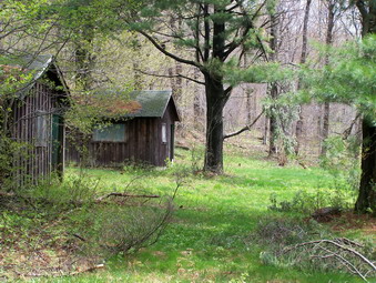 picture taken during a hike