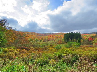 picture taken during a hike