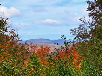 picture taken during a hike