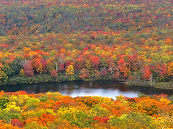 picture taken during a hike