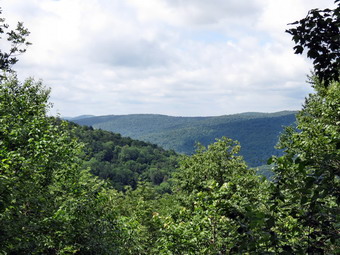 picture taken during a hike