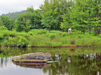 picture taken during a hike