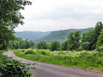 picture taken during a hike