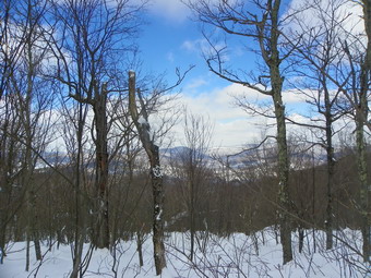 picture taken during a hike