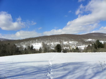 picture taken during a hike