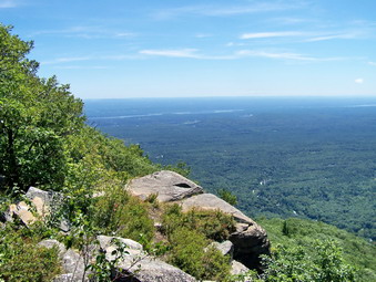 picture taken during a hike