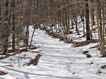 picture taken during a hike