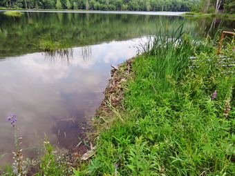 picture taken during a hike